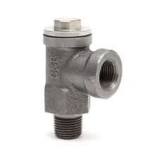 Expansion Relief Valve
